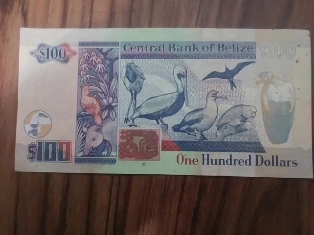Central Bank of Belize 100 dollar bill