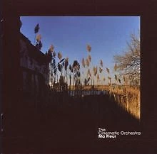 Ma Fleur de Cinematic Orchestra | CD | état très bon