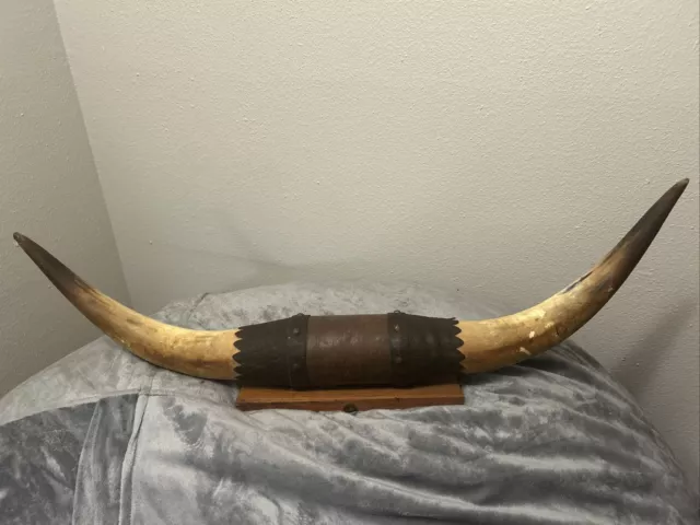 Vintage Texas Longhorn Steer Bull Horns Mount Leather Wrapped 36" Western Decor