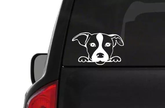 Jack Russell Terrier (A27) Vinyl Decal Sticker Car/Truck Laptop/Netbook Window