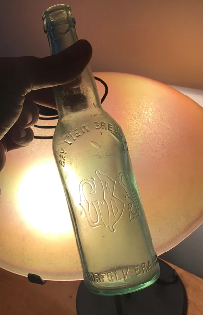 Old Norfolk VA Branch Beer Bottle GBS Bay View Brewery Advertising Early 1900s