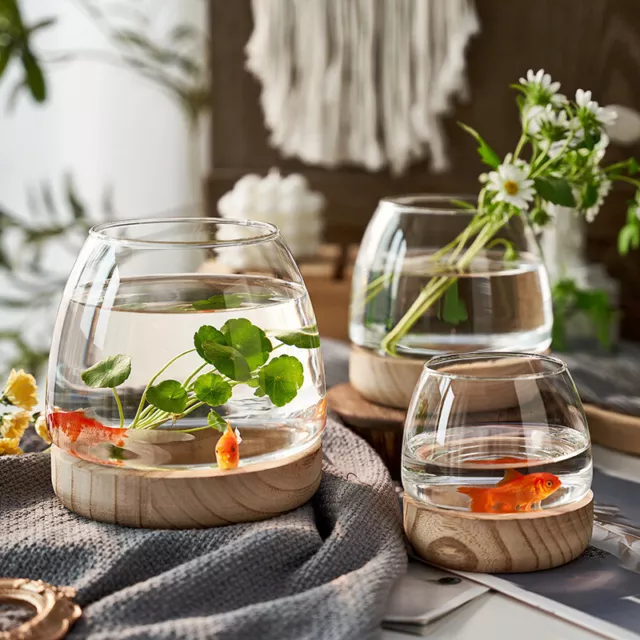 Globe Fish Bowl Succulent Glass Decorative Succulent Planter Vase Home Decor