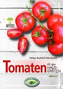 Tomaten für den Hausgarten: Garten kurz & gut von Buchte... | Buch | Zustand gut