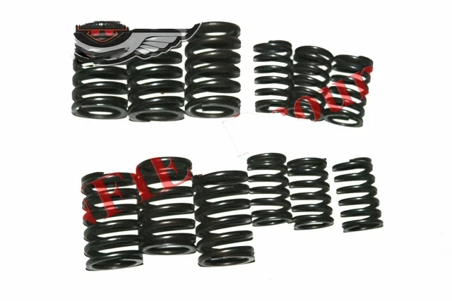 Tête Ressort de Soupape Intérieur & Extérieur Ensemble 12 Unités Pour Massey