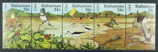 Schmetterlinge Butterflies 1984 Bahamas Vögel Birds Greifvogel 570-74 MNH / 85