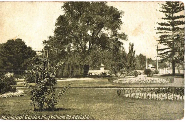 Old Postcard Municipal Garden King William Road Adelaide Australia