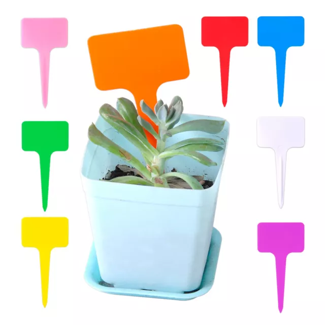 100 Plastic Plant T-Type Tags Shrub Tree Tags Marker Label Nursery Garden Pot Li