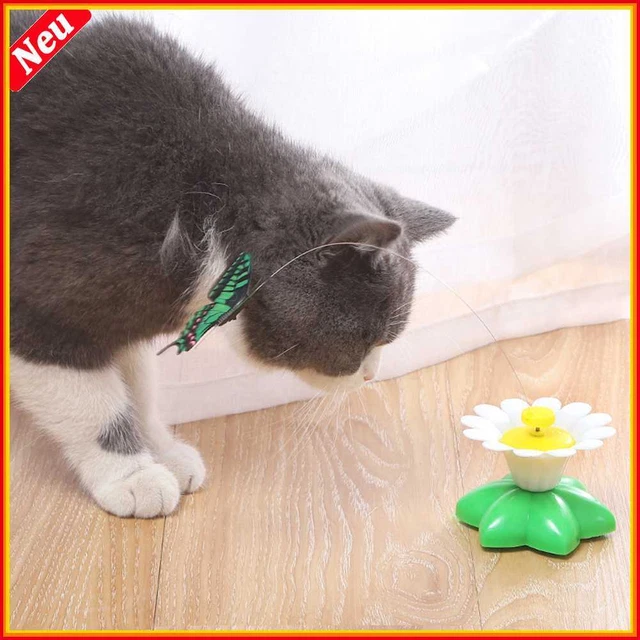 Teaser automático gato gatito perro rascado ejercicio juguete aleatorio
