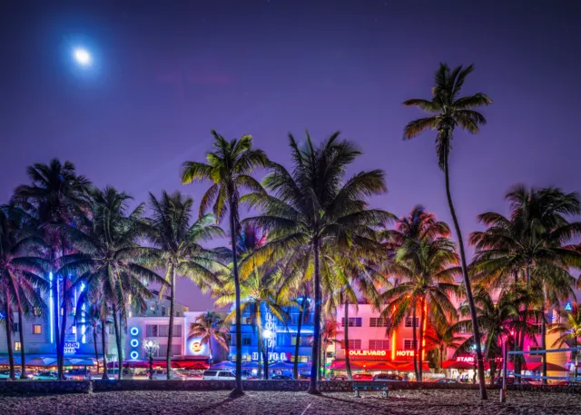 Papier Peint Photo INTISSÉ-MIAMI-(1271V)-Mural Plage Palmiers Dunes Mer Océan