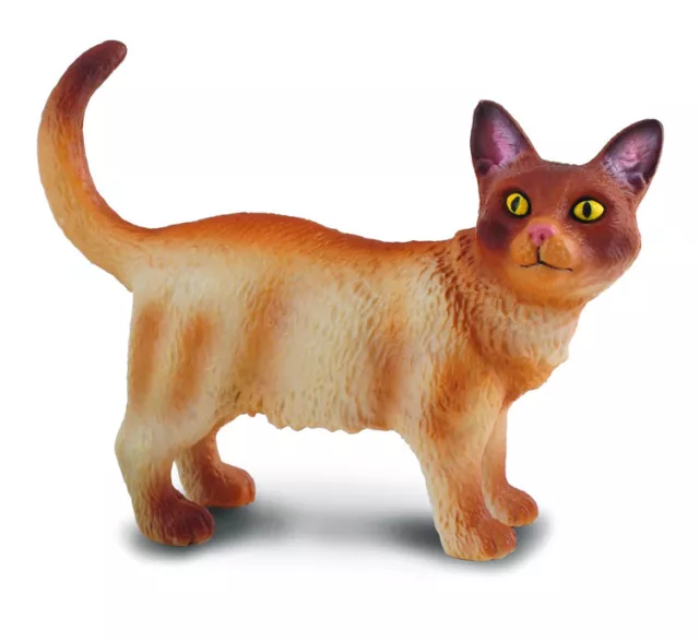 NEW CollectA 88325 Burmese Cat Model 6.5cm Feline - RETIRED