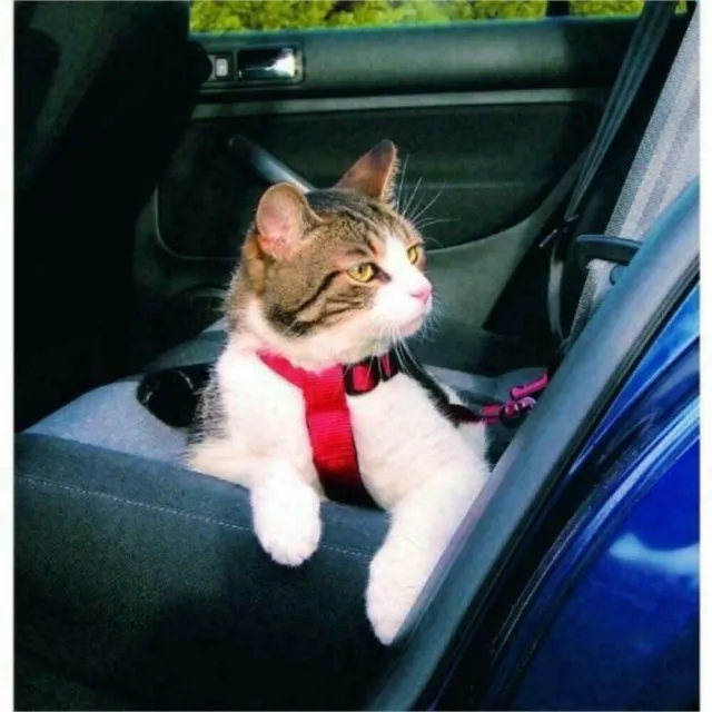 Trixie Car Travel Harness for Cats, Padded - Universal, Attach to Seat Belt Lock