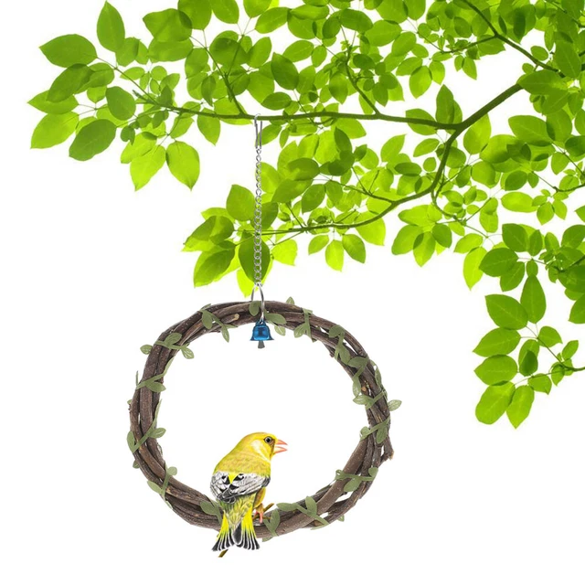funny bird stand Papagei Schwung Spielzeug Papageigut Schwang Vogelperch Vo