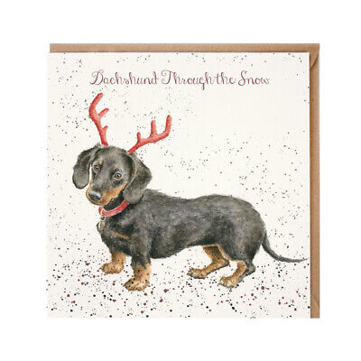 NEW Wrendale Designs 'Dachshund Through the Snow' Christmas Greetings Card 15cm