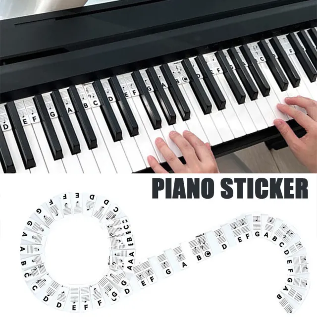 Removable Piano Keyboard Note Labels Reusable Silicone Piano Stickers 88 Keys~