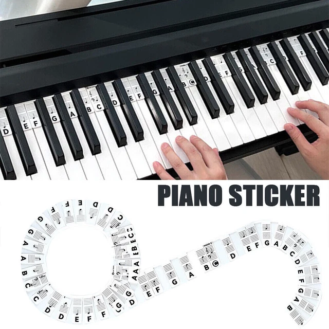 Removable Piano Keyboard Note Labels Reusable Silicone Piano Stickers 88 Keys~