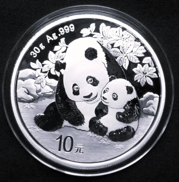 China Panda 2024 Silber Münze 10 Yuan 30 Gramm g  Chinese Silver Coin 999