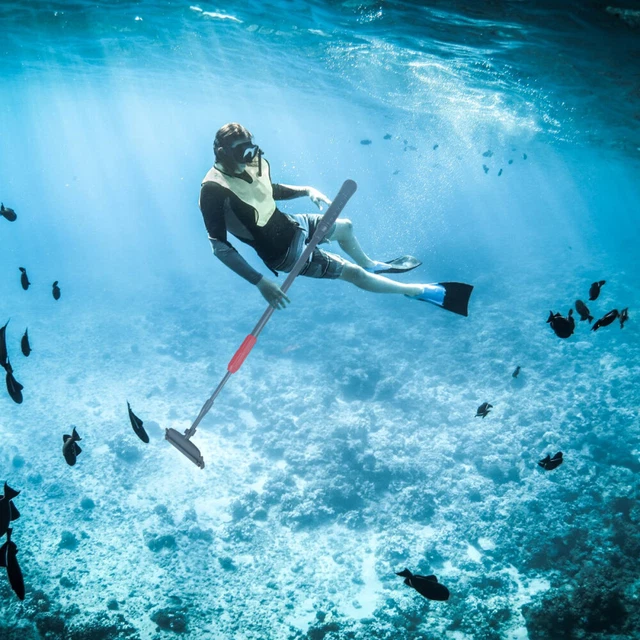 Raschietto vetro serbatoio pesci raschietto vetro acquario acquatico raschietto serbatoio