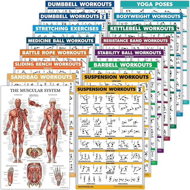 16 Pack Exercise Workout Poster Set Dumbbell Suspension Kettlebell Bands