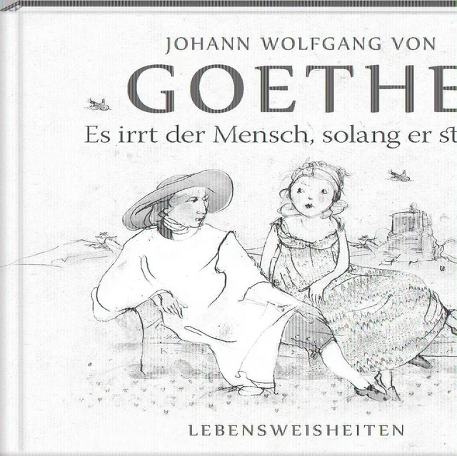 Es Irrt Der Mensch Solang Er Strebt Bedeutung ES IRRT DER Mensch, solang er strebt | Johann Wolfgang von Goethe