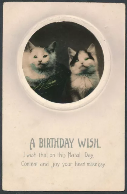 Cat postcard Birthday E Alexander Posted 1910 to Miss F Burwood Lowestoft PX6