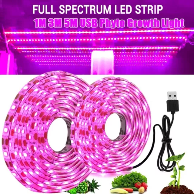 de croissance des plantes Bande de Led Spectre complet Phytolamp pour la plante