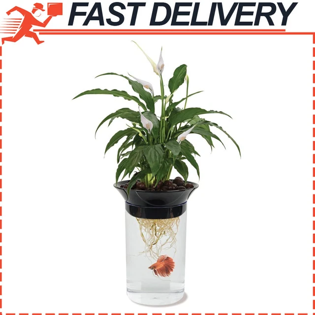 Penn-Plax Aquaponic Betta Fish Tank For Healthy Environment for Plants & Fish