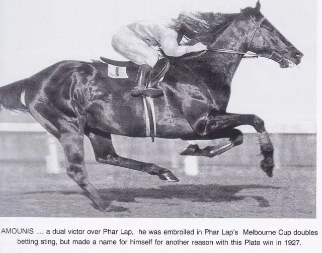 VALLEY OF THE KINGS: W. S. COX PLATE HISTORY 2015 racehorse moonee valley racing 3