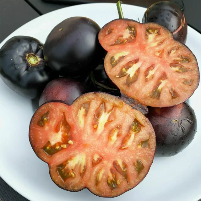 TOMATE NEGRO GIGANTE DE BELLEZA, 50 semillas + GRATIS