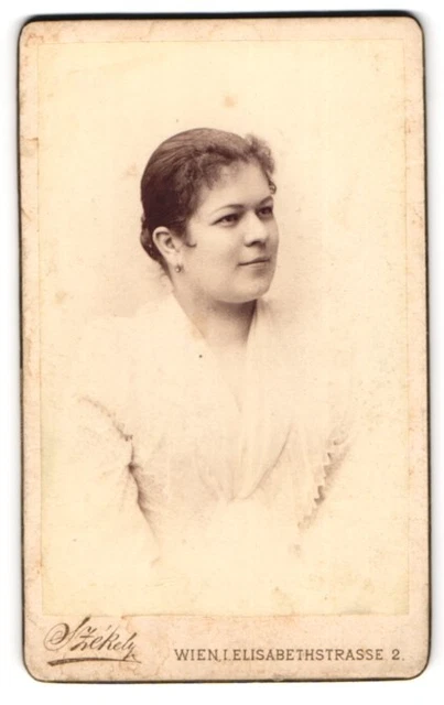 Fotografie Dr. Szekely, Wien, Elisabethstr., Junge Dame im Kleid