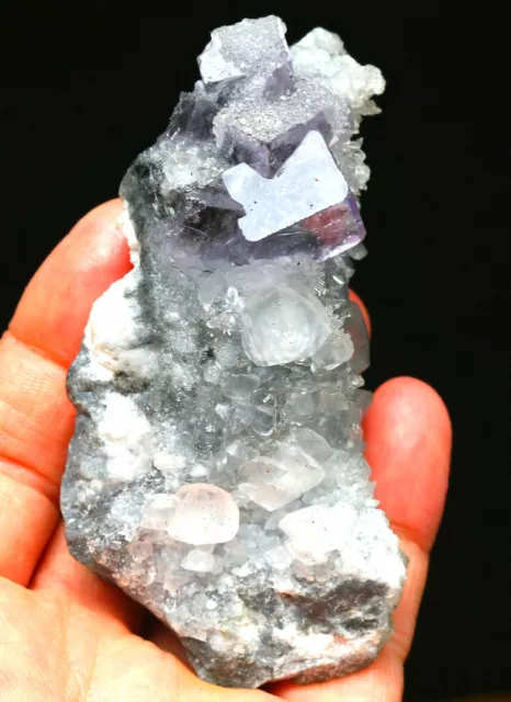 Natural purple Phantom cubic fluorite crystal pyrite, calcite mineral sample/Chi