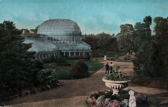 VINTAGE POSTCARD THE BOTANIC GARDENS AT BELFAST NORTHERN IRELAND c. 1910