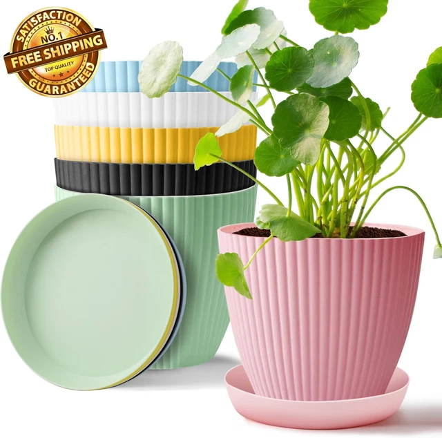7 Inch Plant Pots, 6 Pack Flower Pots Indoor Outdoor, Decorative Planters with D