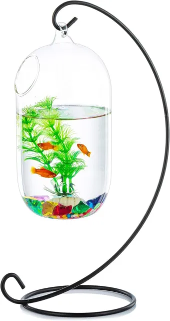 Desk Glass Hanging Fish Bowl Tank Beta Tank with Stand Fish Homes Creative Vase