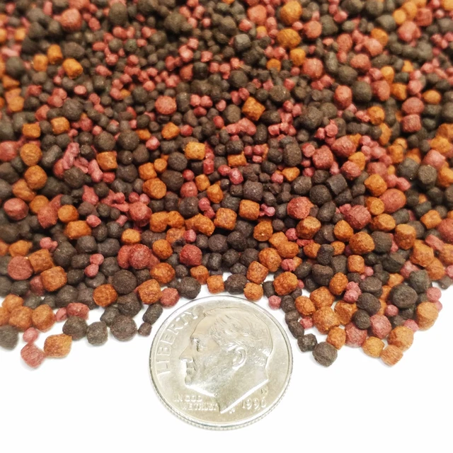 12-Type Cichlid Mix of Floating & Sinking Blackworm & Intense Coloring GB-1000