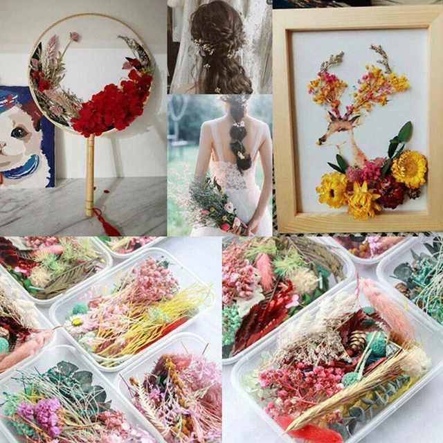 DIY Real Pressed Dried Flowers For Art Craft Resin Nice Jewellery Pendant