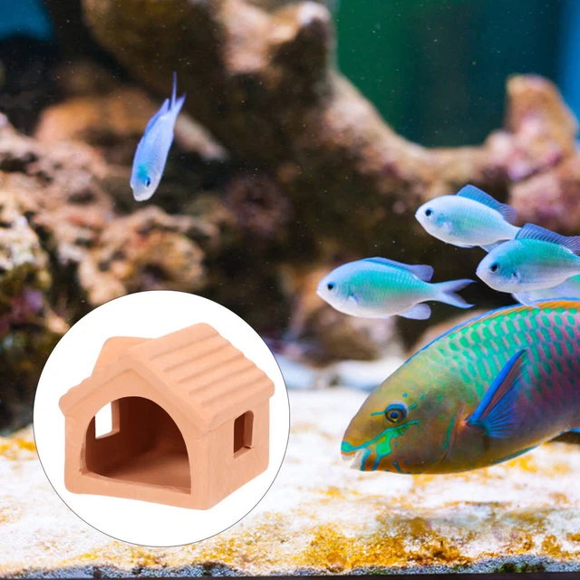 Ruote A Motore Elettriche Ossidano L'acqua In Un Serbatoio Di Pesci E Gamberetti Indonesia Allevamento Artificiale Animali Marini 163742118 - Foto 6