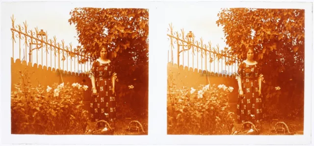 Woman in the Garden Flowers Photo c1920 Vintage Stereo Glass Plate K4n39