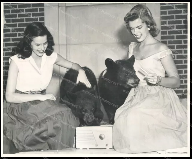 Baylor University Football Bears and Fans 1953 Original Press Wire Photo