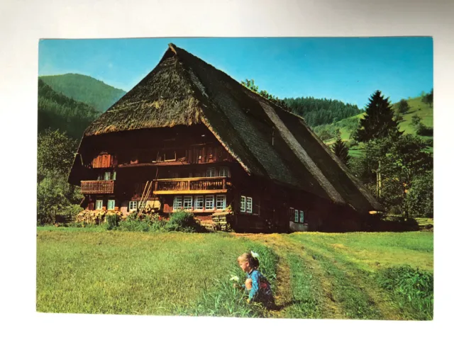 Vintage Bauernhaus im Schwarzwald Postcard Germany Black Forest