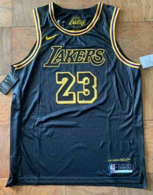 Nike Lebron James #23 Jersey LA Lakers Black Mamba Edition Small DJ1433-011