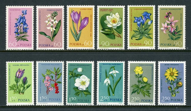 Poland Scott #1066-1077 MNH 1962 Flowers COMPLETE FLORA CV$6+ 382810 ish-1
