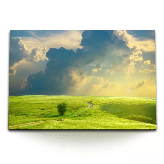 120x80cm Wandbild auf Leinwand Landschaft Wiese Feldweg Himmel Horizont Natur