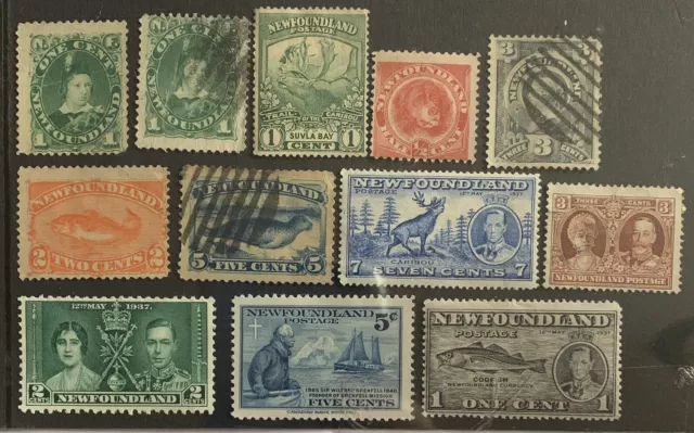 Newfoundland Collection Rare Old Stamps Antique Unchecked For Varieties 03180822