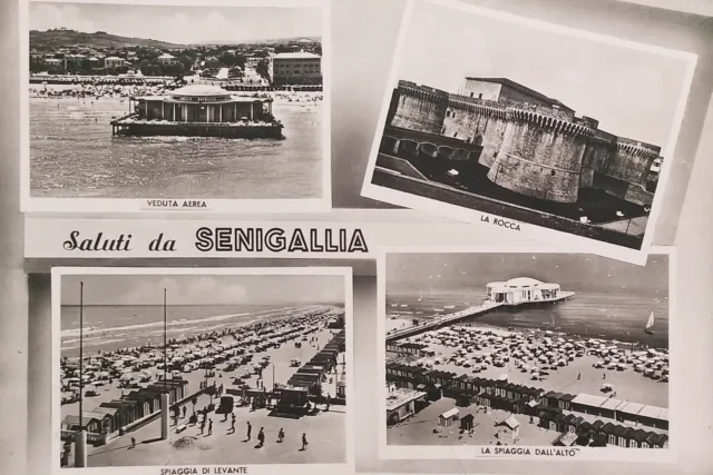 Cartolina - Saluti da Senigallia ( Ancona ) - Vedute diverse - 1956