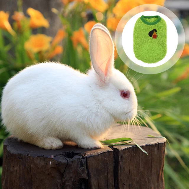 1pc Kleidung Kleine Tiere Warme Kleidung Für Shop Pet