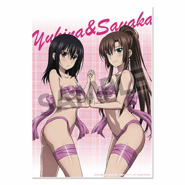 [Strike the Blood] Acrylic Stand (Yukina & Asagi & Sayaka/School Uniform) ( Anime Toy) - HobbySearch Anime Goods Store