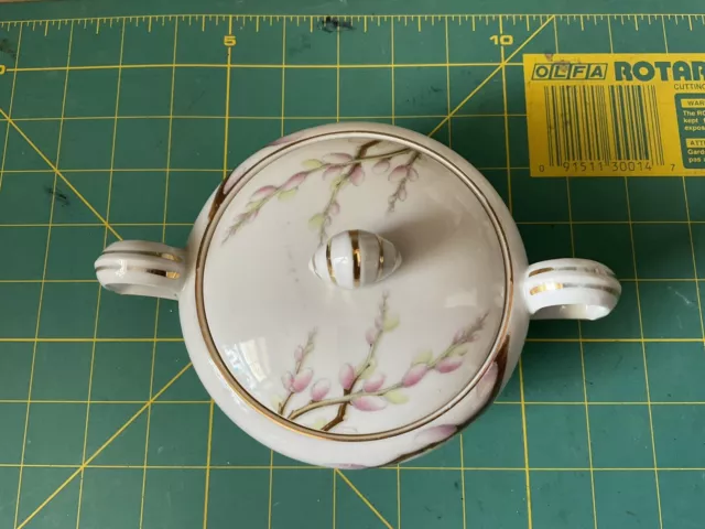 Kent Spring Willow Sugar Bowl Beautiful