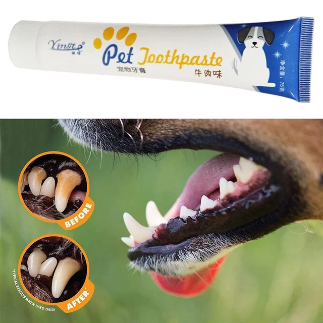 TOOTHPASTE FOR DOGS And Cats Pets Dental Care Bad Breath O5G0 m2u 5.