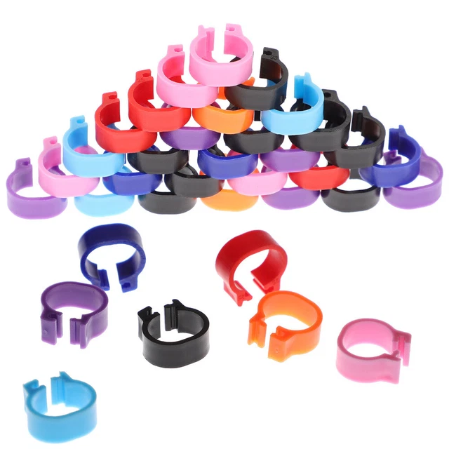 100 Pz Anelli Clip Uccellino Gamba Colomba Piede Animale Ragazzo Fasce Quala