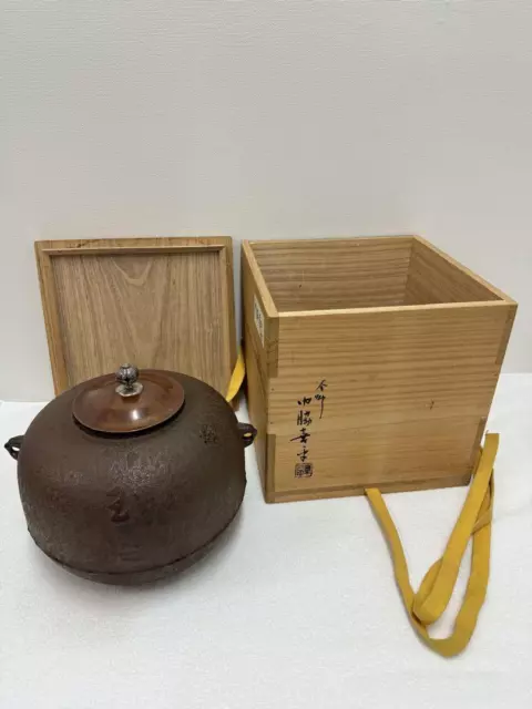 Teapot kettle Chagama Tea Ceremony Cast Iron Japanese F48
